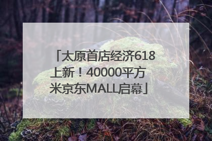 太原首店经济618上新！40000平方米京东MALL启幕