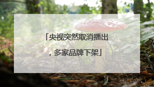 央视突然取消播出，多家品牌下架