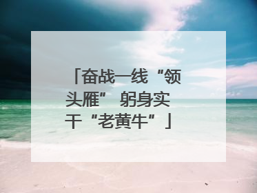 奋战一线“领头雁” 躬身实干“老黄牛”