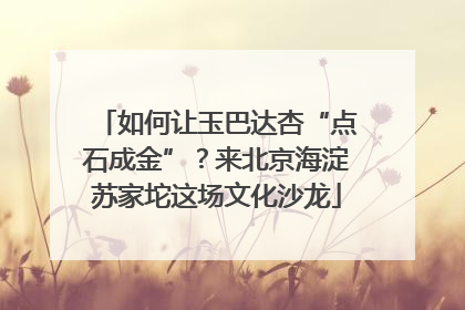 如何让玉巴达杏“点石成金”？来北京海淀苏家坨这场文化沙龙