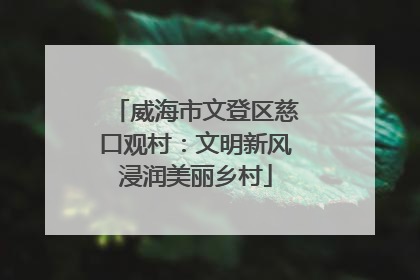 威海市文登区慈口观村：文明新风浸润美丽乡村