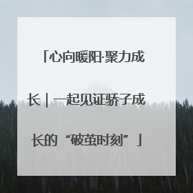 心向暖阳·聚力成长｜一起见证骄子成长的“破茧时刻”