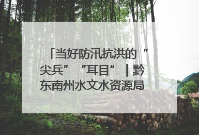 当好防汛抗洪的“尖兵”“耳目”｜黔东南州水文水资源局全员出动为此轮强降雨做好测报工作