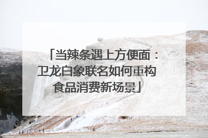 当辣条遇上方便面：卫龙白象联名如何重构食品消费新场景