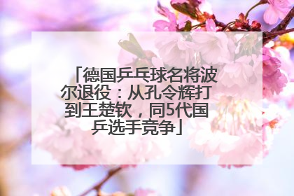 德国乒乓球名将波尔退役：从孔令辉打到王楚钦，同5代国乒选手竞争