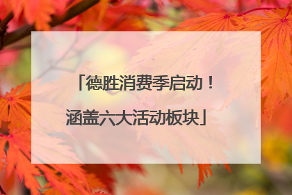 德胜消费季启动！涵盖六大活动板块