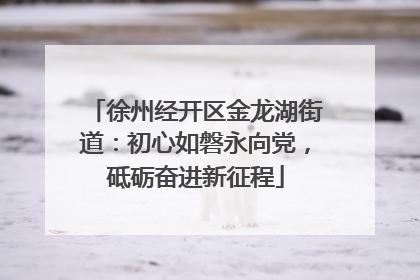 徐州经开区金龙湖街道：初心如磐永向党，砥砺奋进新征程