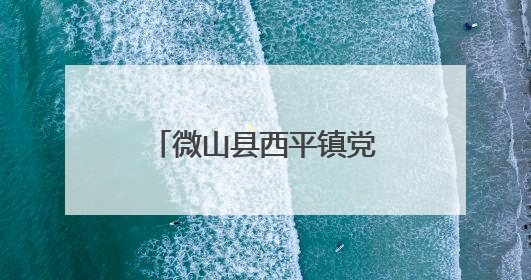 微山县西平镇党建引领打造家门口“就业圈”