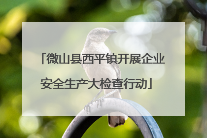 微山县西平镇开展企业安全生产大检查行动