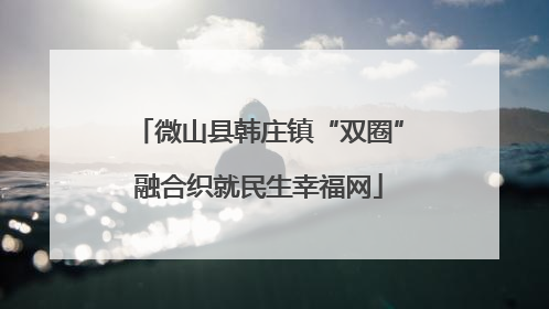 微山县韩庄镇“双圈”融合织就民生幸福网