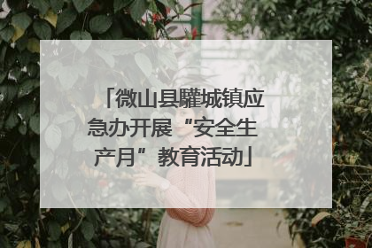 微山县驩城镇应急办开展“安全生产月”教育活动
