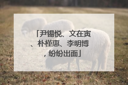尹锡悦、文在寅、朴槿惠、李明博，纷纷出面