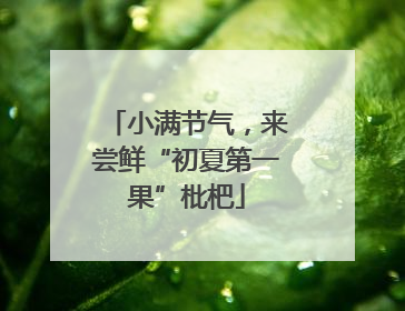 小满节气，来尝鲜“初夏第一果”枇杷