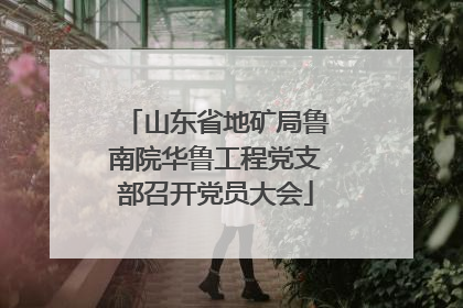 山东省地矿局鲁南院华鲁工程党支部召开党员大会