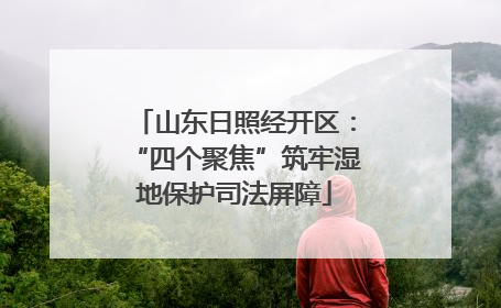 山东日照经开区：“四个聚焦”筑牢湿地保护司法屏障
