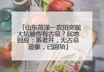 山东菏泽一农田突现大坑被传有古墓？属地回应：系老井，无古墓迹象，已回填