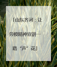山东齐河：让劳模精神宣讲一路“声”花