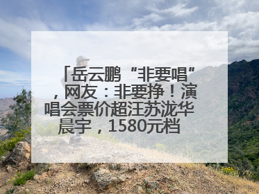 岳云鹏“非要唱”，网友：非要挣！演唱会票价超汪苏泷华晨宇，1580元档20秒抢空