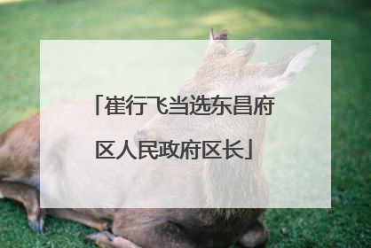 崔行飞当选东昌府区人民政府区长