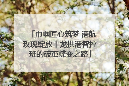 巾帼匠心筑梦 港航玫瑰绽放丨龙拱港智控班的破茧蝶变之路