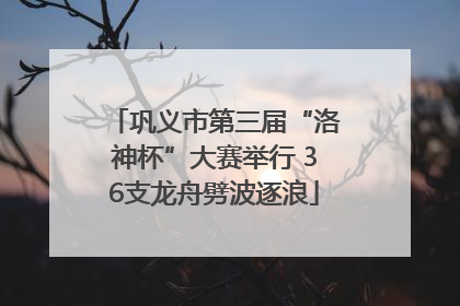 巩义市第三届“洛神杯”大赛举行 36支龙舟劈波逐浪