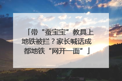带“蚕宝宝”教具上地铁被拦？家长喊话成都地铁“网开一面”