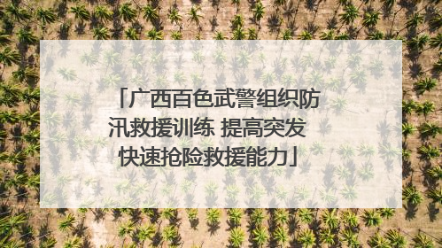 广西百色武警组织防汛救援训练 提高突发快速抢险救援能力