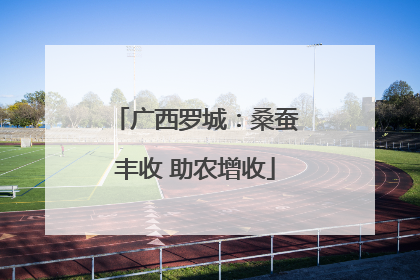 广西罗城：桑蚕丰收 助农增收