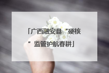 广西融安县“硬核”监管护航春耕