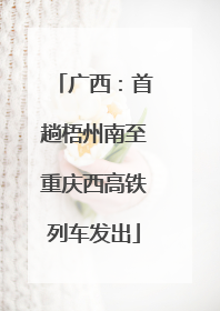 广西：首趟梧州南至重庆西高铁列车发出