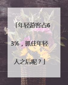 年轻游客占63%，抓住年轻人之后呢？