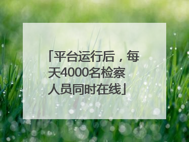 平台运行后，每天4000名检察人员同时在线