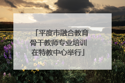 平度市融合教育骨干教师专业培训在特教中心举行