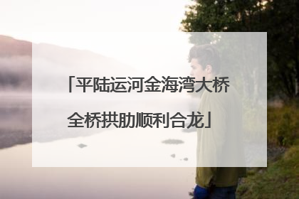平陆运河金海湾大桥全桥拱肋顺利合龙