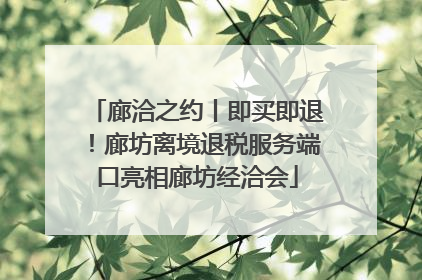 廊洽之约丨即买即退！廊坊离境退税服务端口亮相廊坊经洽会