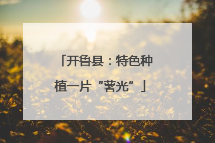 开鲁县：特色种植一片“薯光”