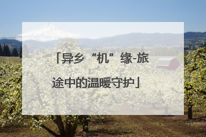 异乡“机”缘-旅途中的温暖守护