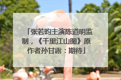 张若昀主演陈道明监制，《千里江山图》原作者孙甘露：期待