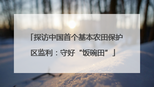 探访中国首个基本农田保护区监利：守好“饭碗田”