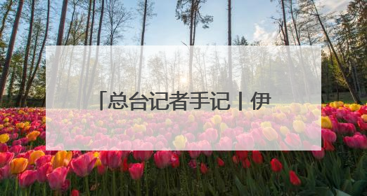 总台记者手记丨伊以冲突爆发后 我决定即刻返回伊朗