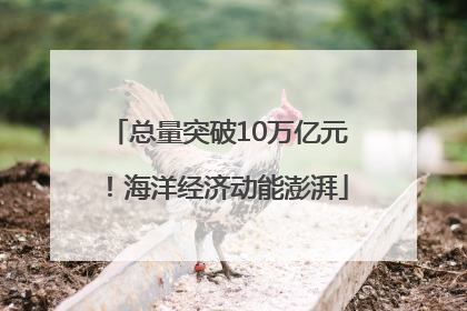 总量突破10万亿元！海洋经济动能澎湃