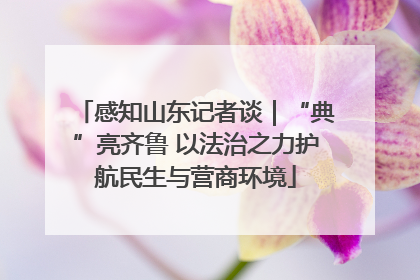感知山东记者谈｜“典”亮齐鲁 以法治之力护航民生与营商环境