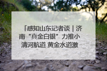 感知山东记者谈｜济南“真金白银”力推小清河航道 黄金水道激活区域经济新动能