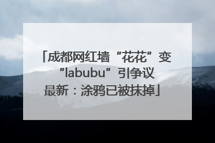 成都网红墙“花花”变“labubu”引争议 最新：涂鸦已被抹掉