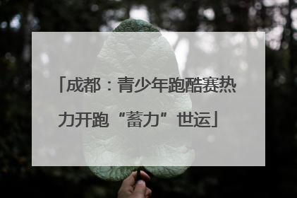 成都：青少年跑酷赛热力开跑“蓄力”世运