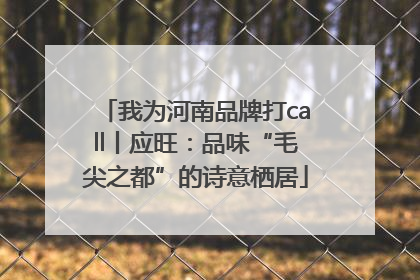 我为河南品牌打call丨应旺：品味“毛尖之都”的诗意栖居
