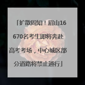 扩散周知！眉山16670名考生即将奔赴高考考场，中心城区部分道路将禁止通行