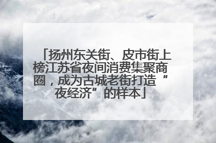 扬州东关街、皮市街上榜江苏省夜间消费集聚商圈，成为古城老街打造“夜经济”的样本