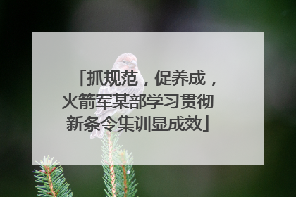 抓规范，促养成，火箭军某部学习贯彻新条令集训显成效