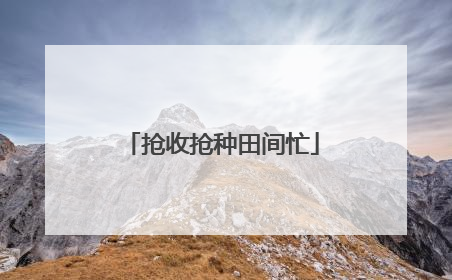 抢收抢种田间忙
